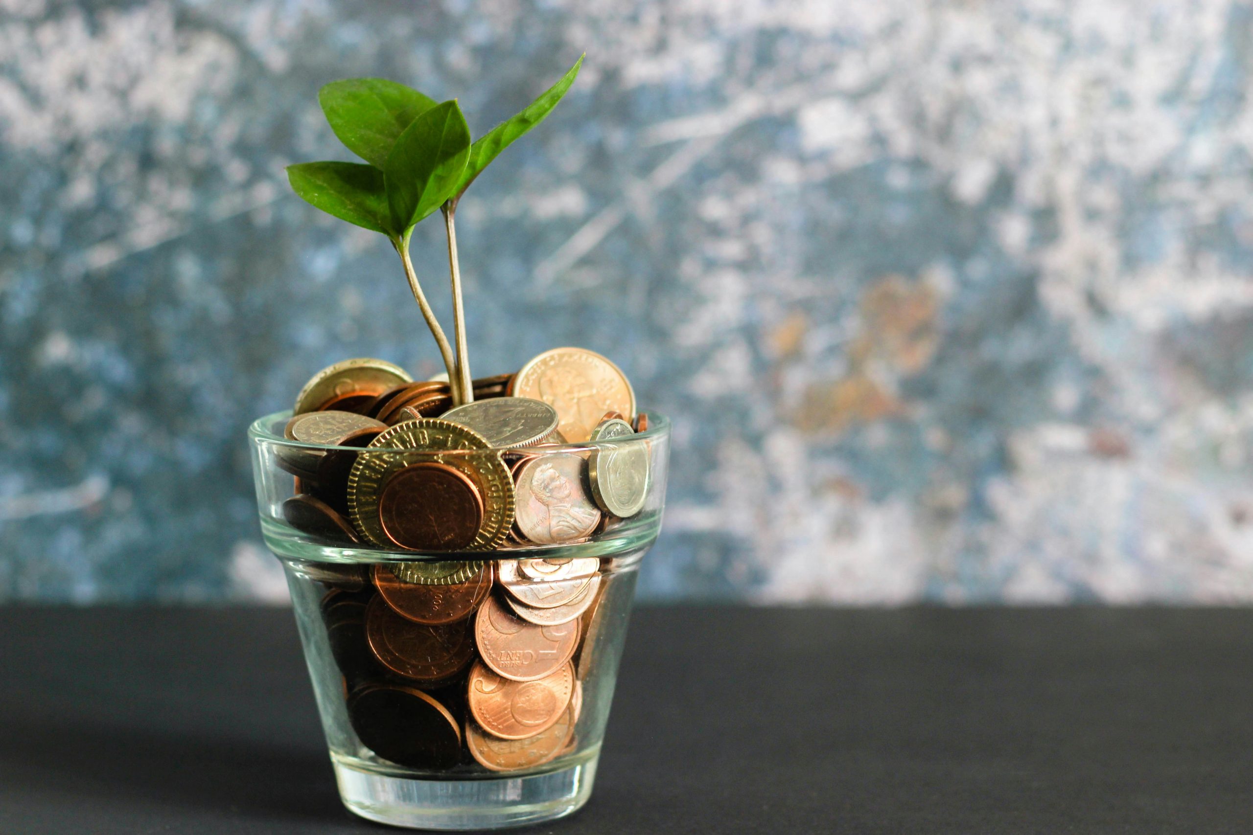 glass pot containing coins, with a plant sprouting
